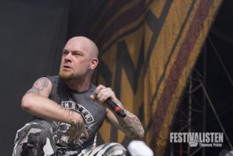 rockavaria-2015-five-finger-death-punch-7
