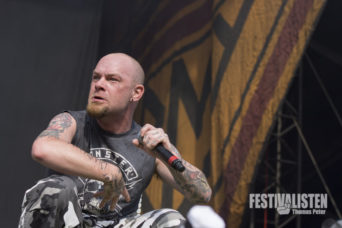 rockavaria-2015-five-finger-death-punch-7