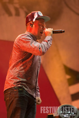 southside-2014-fettes-brot-2