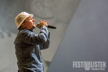 southside-2014-fettes-brot-7