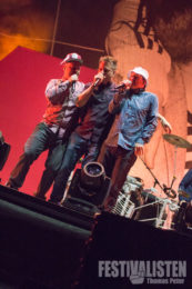 southside-2014-fettes-brot-8