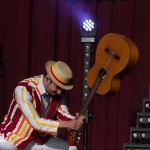 Alligatoah auf dem Splash! Festival 2014 ; Foto: Sven Morgenstern