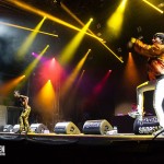 M.I.A. auf dem Splash! Festival 2014 ; Foto: Sven Morgenstern