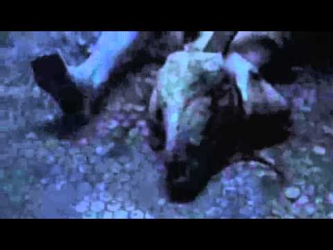 Slipknot: Grusliger Trailer als Auftakt der Albenpromotion?