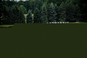 Baden erlaubt, Foto: Steffen Neumeister